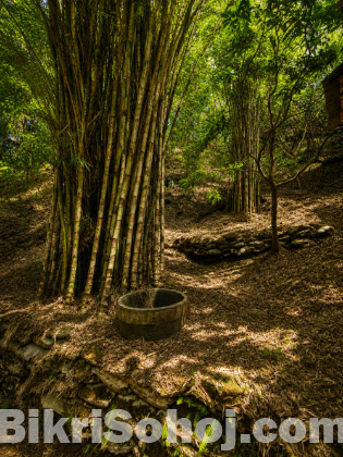 On and No Eco Resort